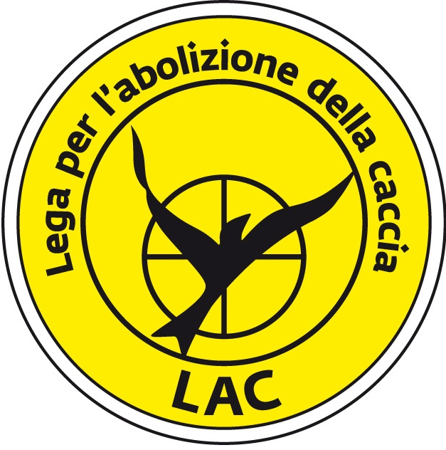 LOGO G2
