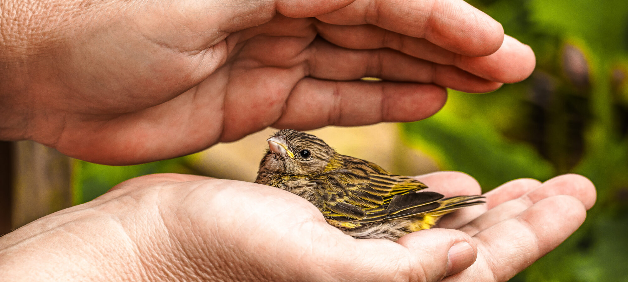 6e35e026babf5c8c0baa138a393f0cc0