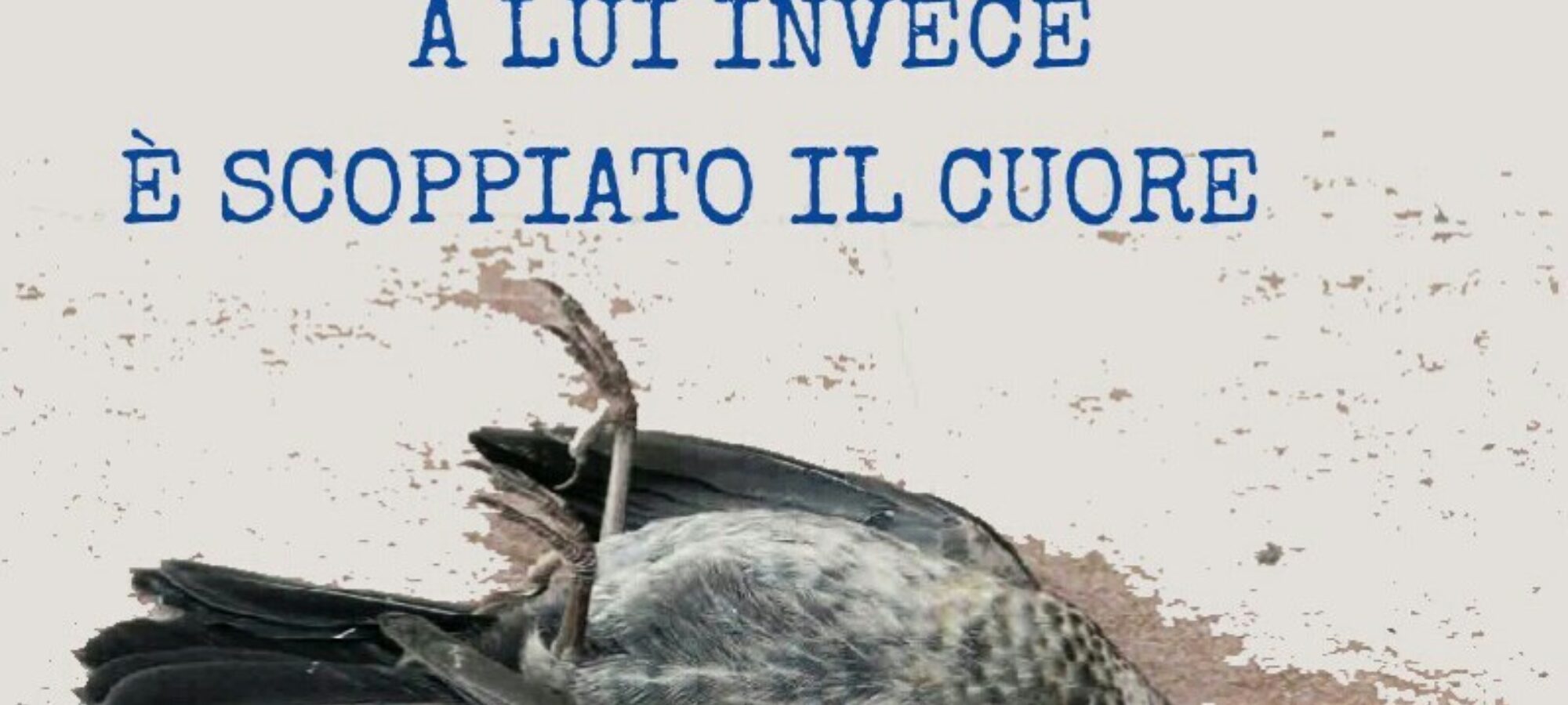 A Capodanno niente botti LAC Lega Abolizione Caccia