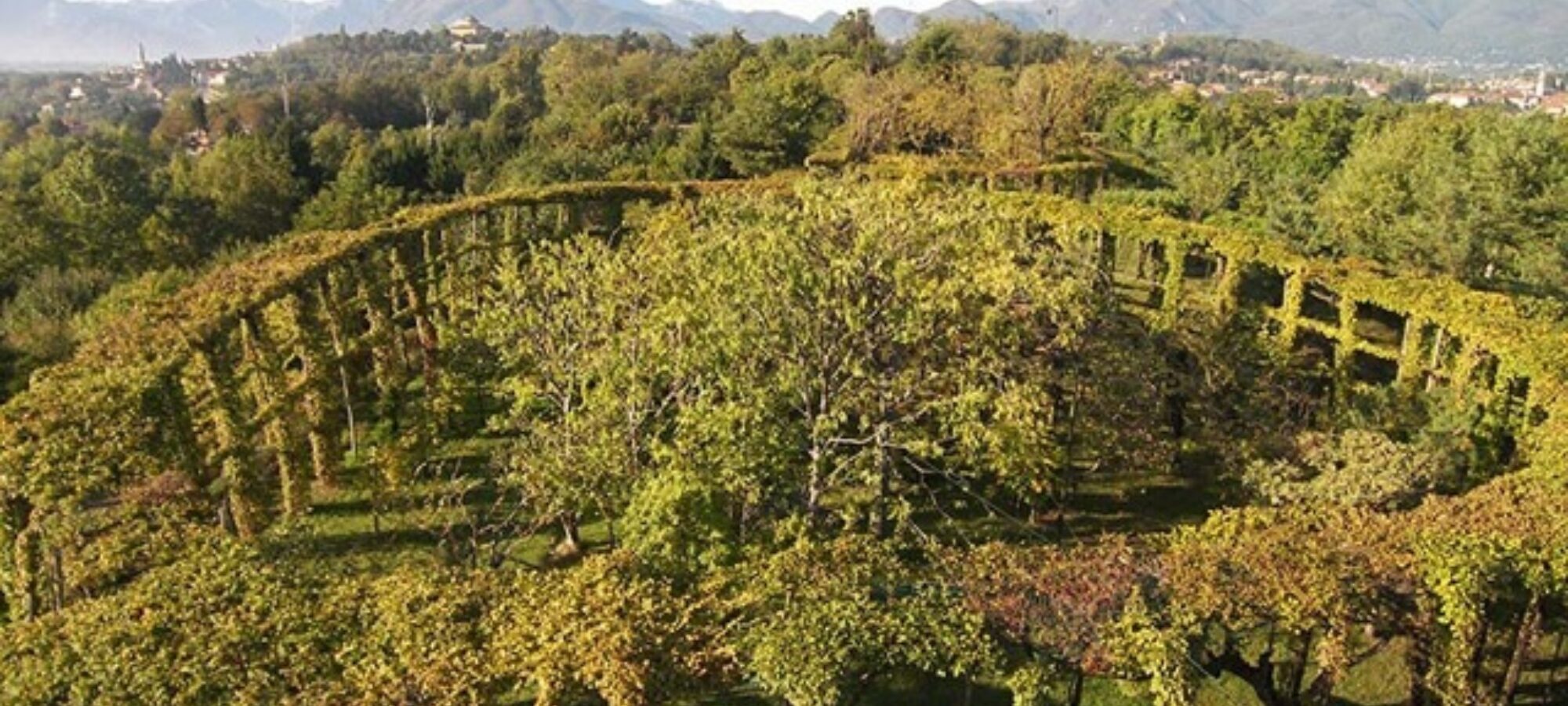 Antico roccolo di Arosio si scrive ricerca sulle migrazioni si legge uccellagione LAC Lega Abolizione Caccia