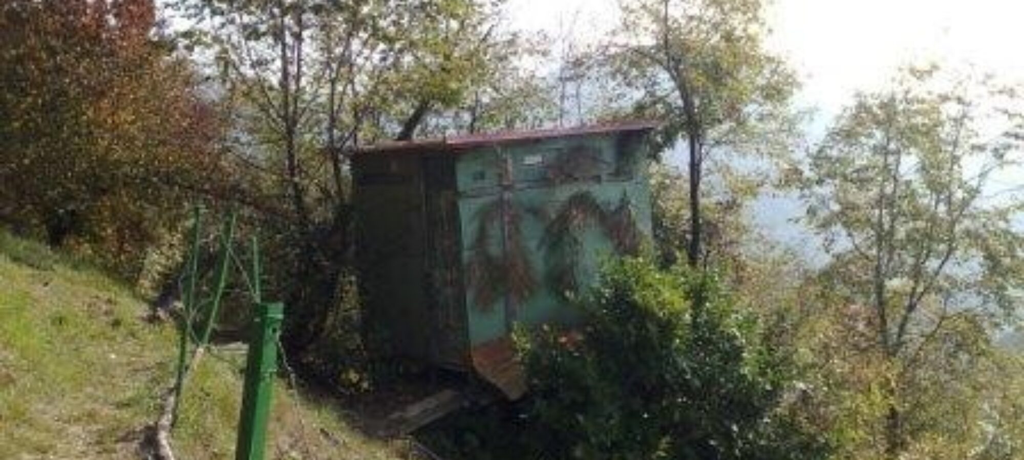 Caccia e pesca Nuova sconfitta della Regione Liguria in Corte Costituzionale LAC Lega Abolizione Caccia