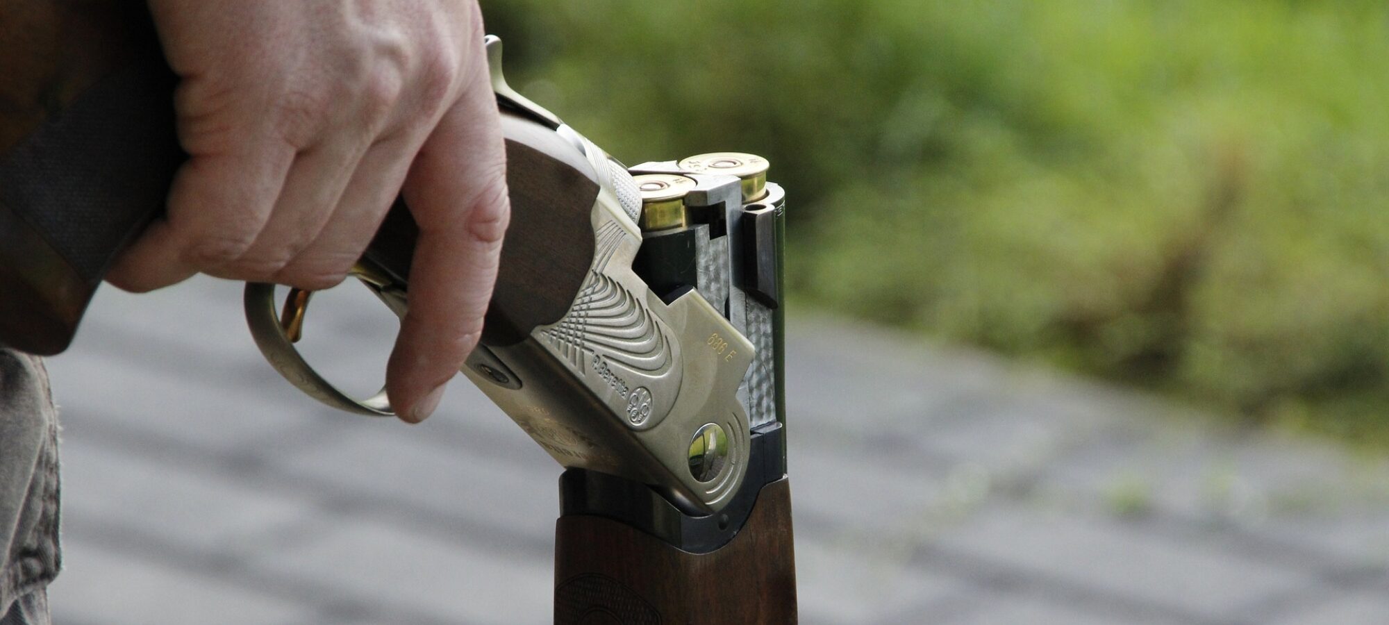 Calendario Venatorio Marche primo round a chi difende la natura LAC Lega Abolizione Caccia