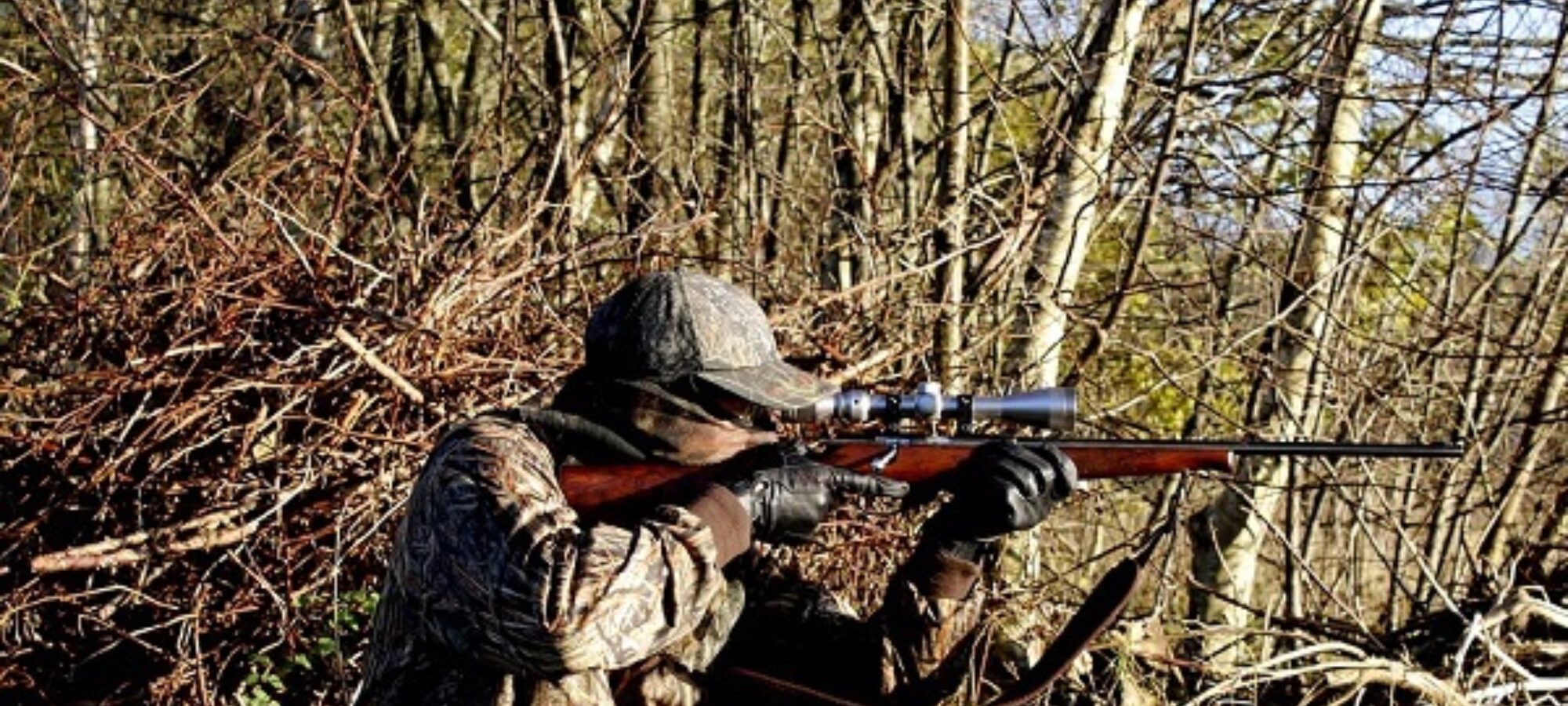 Cancellare le norme spara tutto dalla proposta di legge n 982 sulle semplificazioni in agricoltura allesame della XIII commissione di Montecitorio LAC Lega Abolizione Caccia