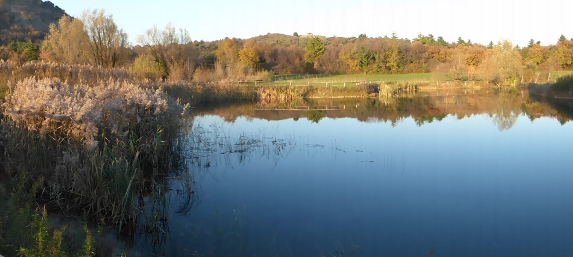 Canneti e zone umide sempre più a rischio sul lago di Garda LAC Lega Abolizione Caccia