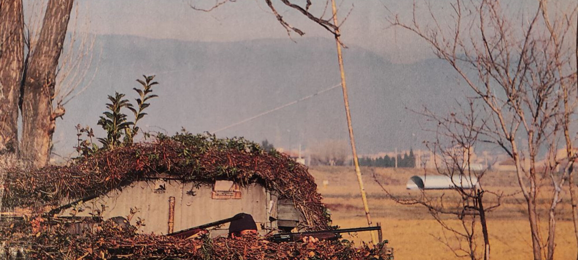 Conclusa la stagione di caccia 202425 LAC Lega Abolizione Caccia