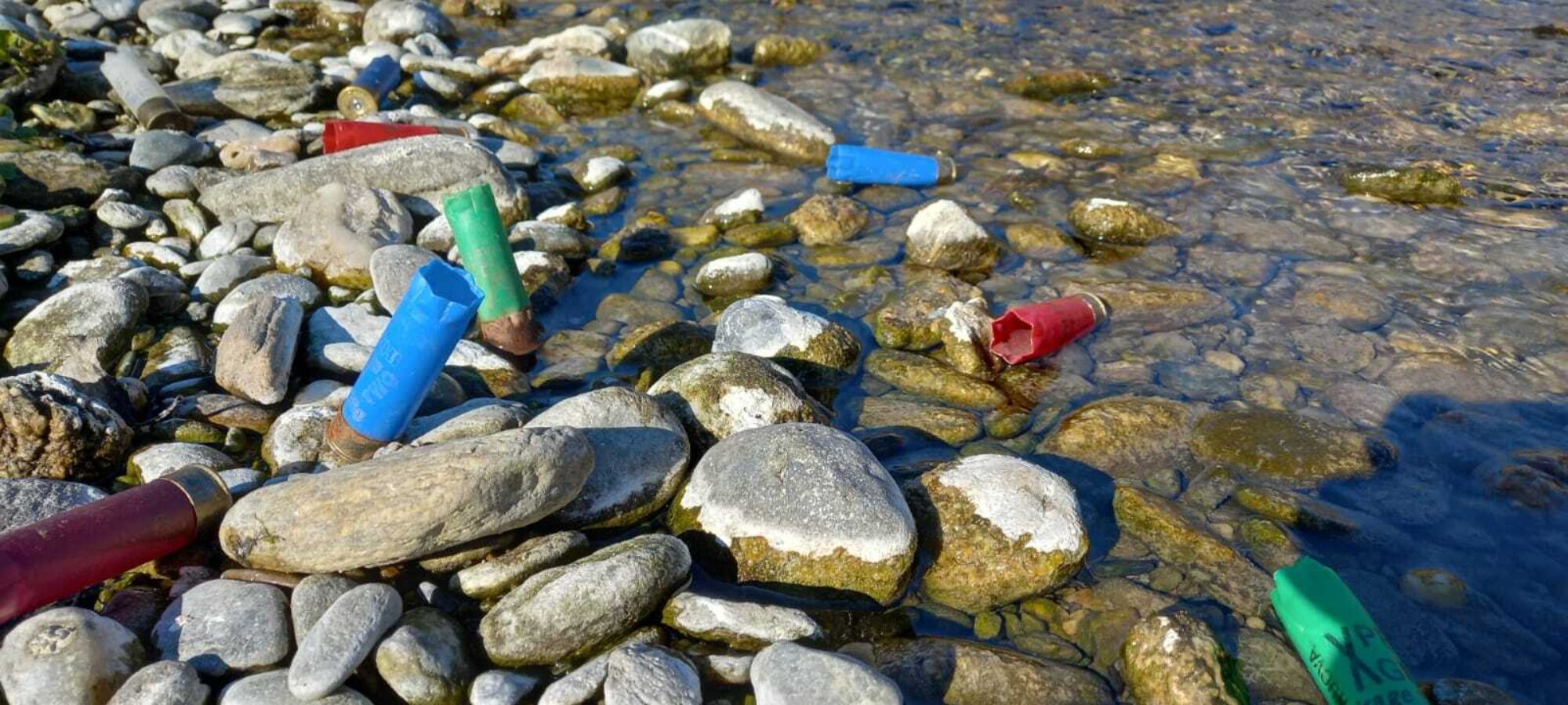 DL ASSET ASSOCIAZIONI SCRIVONO A MATTARELLA LAC Lega Abolizione Caccia