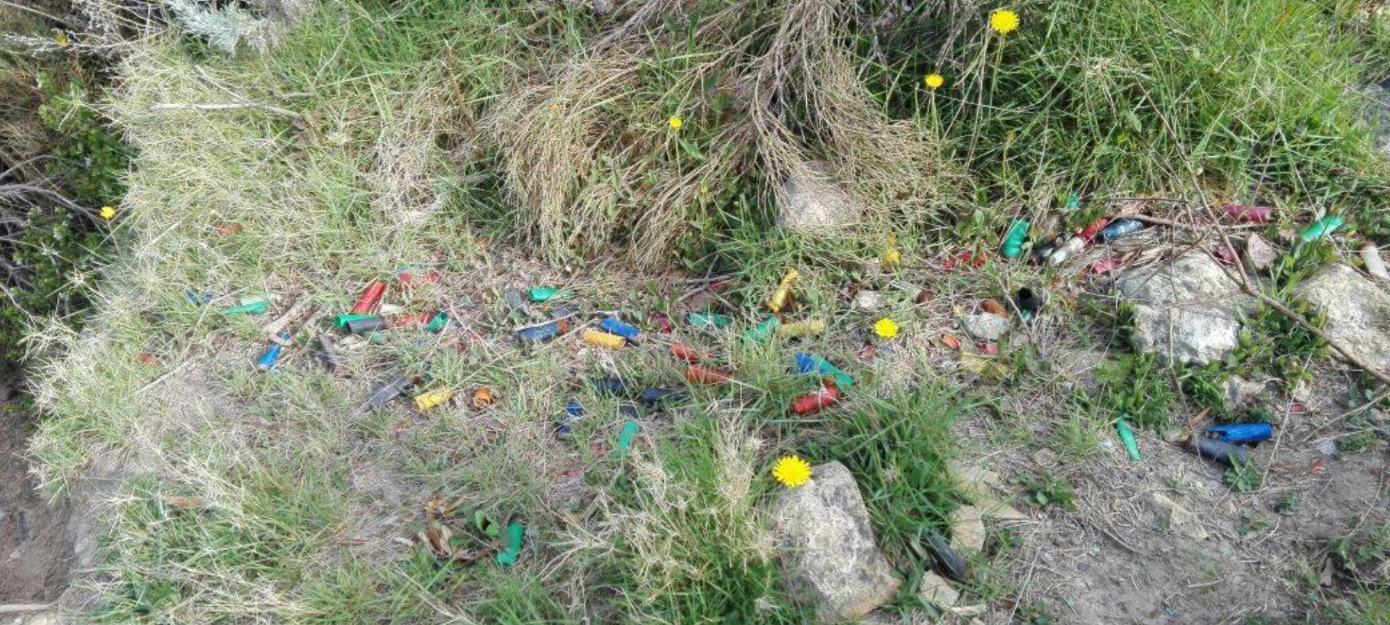 Diario Ponza 12 aprile 2017 LAC Lega Abolizione Caccia