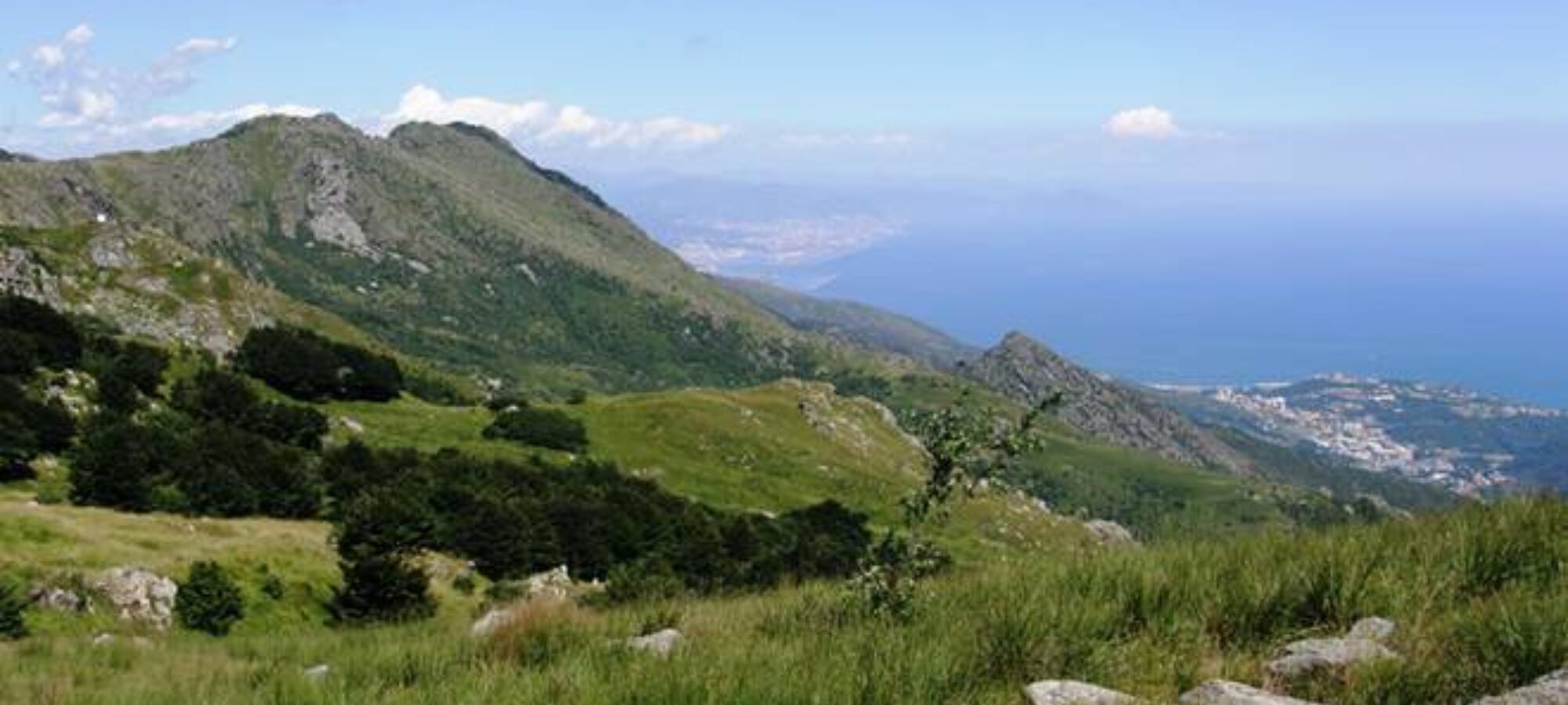 Dichiarati incostituzionali 5 articoli della legge regionale ligure taglia parchi n 32019 LAC Lega Abolizione Caccia