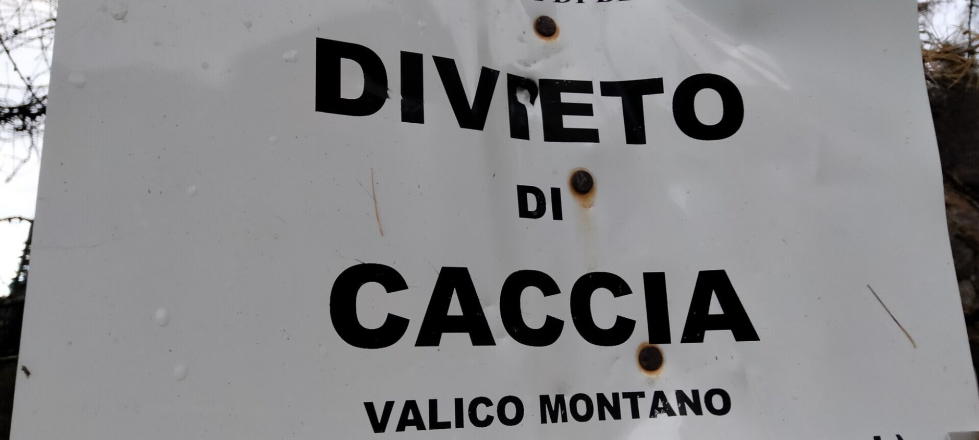 Divieto caccia sui valichi Vittoria LAC LAC Lega Abolizione Caccia