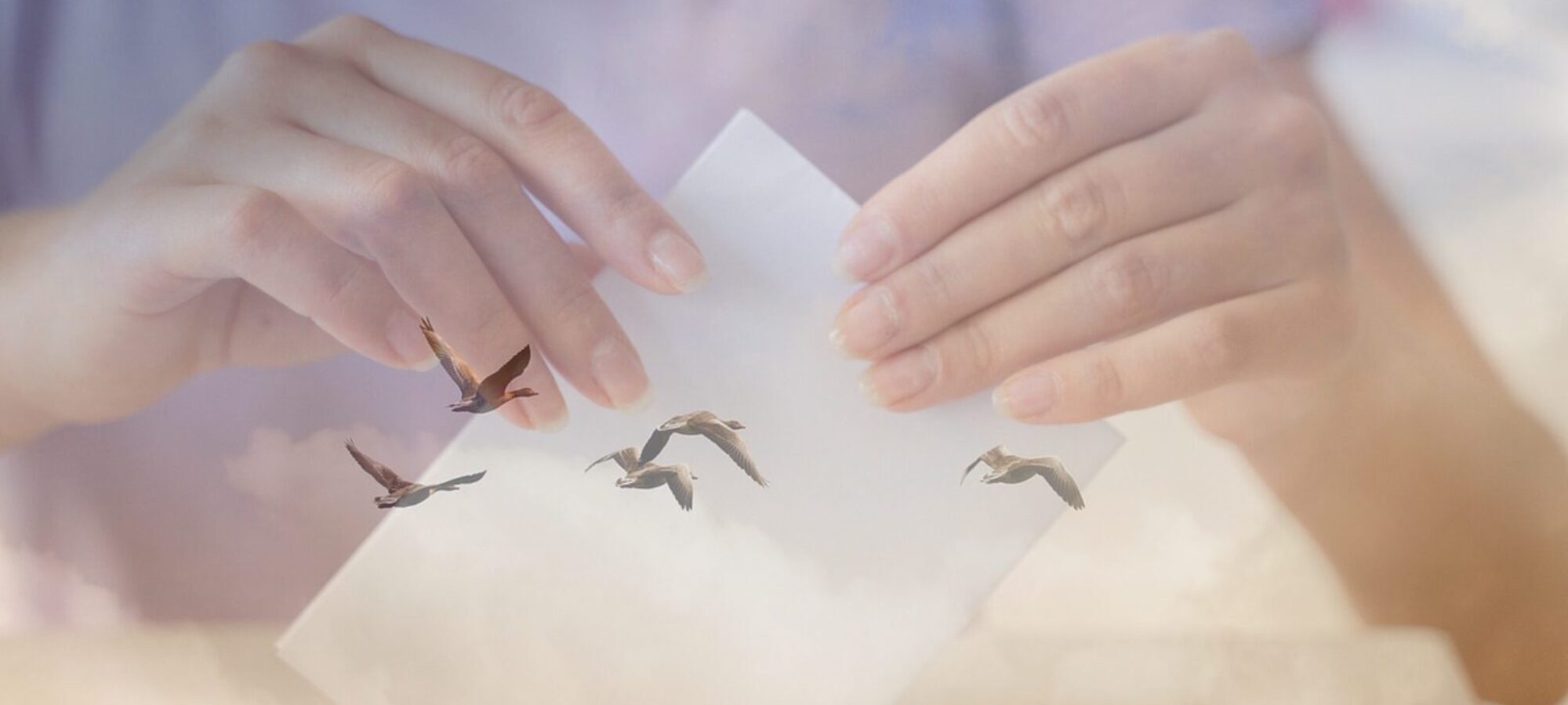 Elezioni europee chi vuole distruggere la fauna selvatica LAC Lega Abolizione Caccia