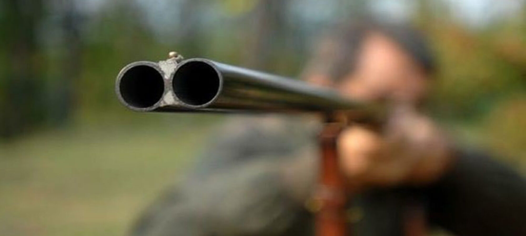 Emendamenti Decreto Semplificazioni stravolgimento della L 1571992 LAC Lega Abolizione Caccia