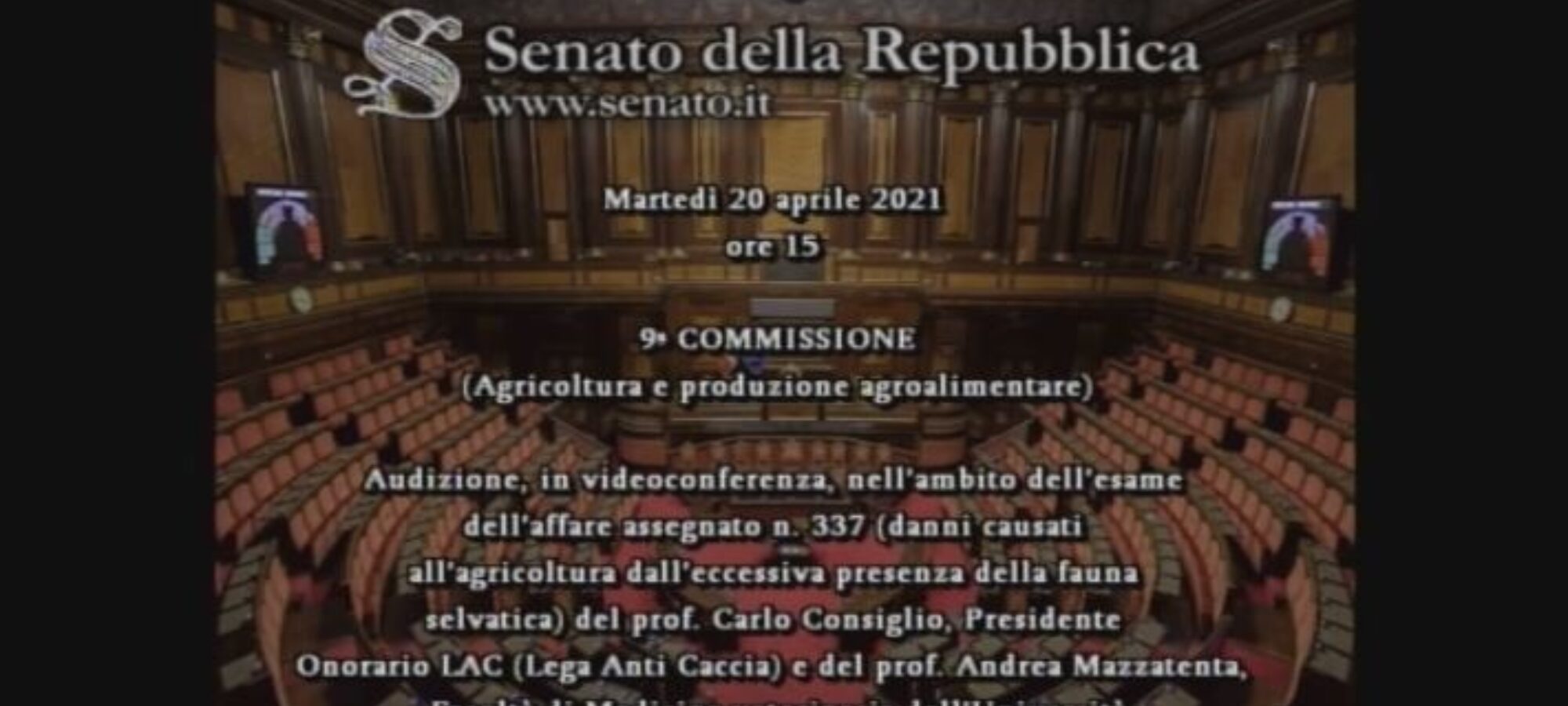 Fauna selvatica La scienza in Commissione Agricoltura LAC Lega Abolizione Caccia