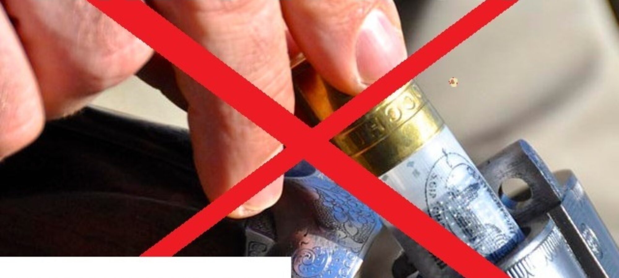 Fermignano PU Ordinanza divieto di caccia LAC Lega Abolizione Caccia