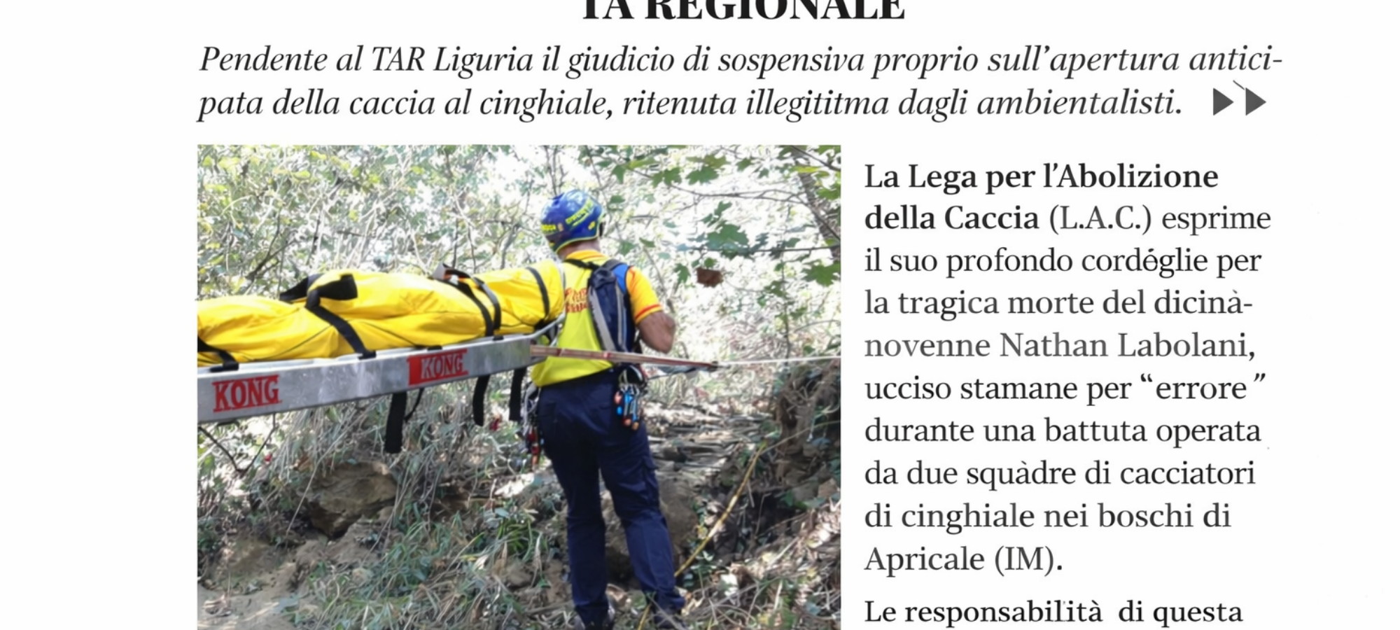 Firefly gpt image OMICIDIO VENATORIO DI APRICALE IM GRAVISSIME LE RESPONSABILITA DELLA GIUNTA REGIO 841742