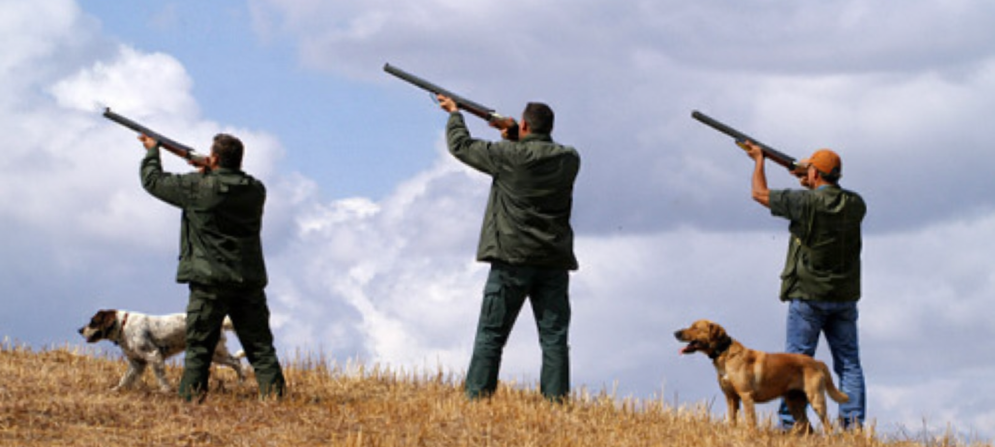 Firefly gpt image crea immagine simile aggiungendo un cacciatore ed un cane 6528