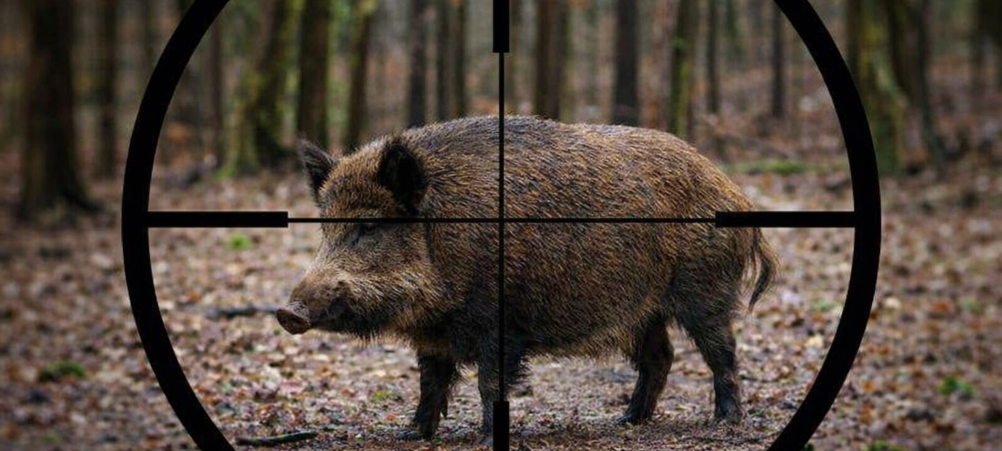 Firefly gpt image foto simile a quella di riferimento 841742