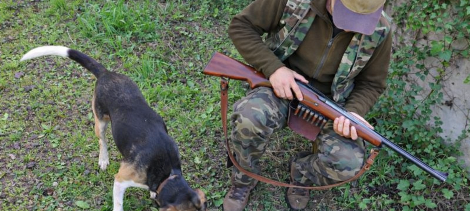 Firefly gpt image foto simile a quella di riferimento 8417421