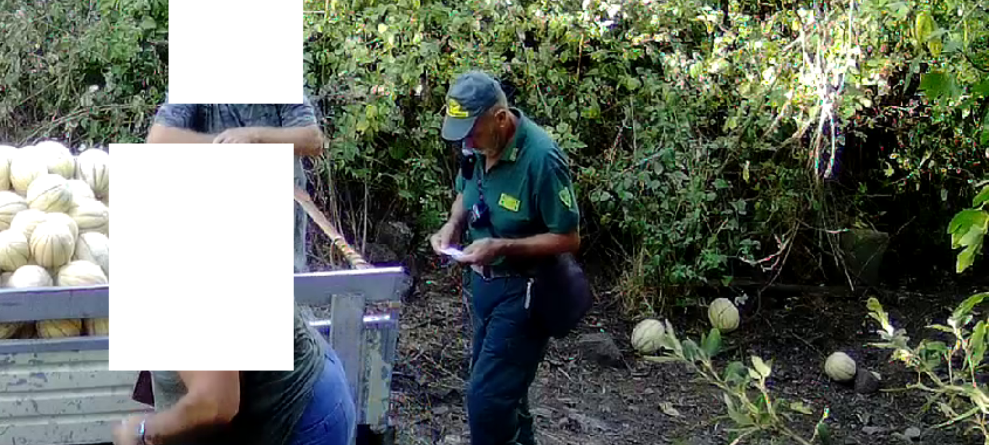 Grosseto capo caccia e vice capocaccia di una squadra di caccia al cinghiale denunciati LAC Lega Abolizione Caccia