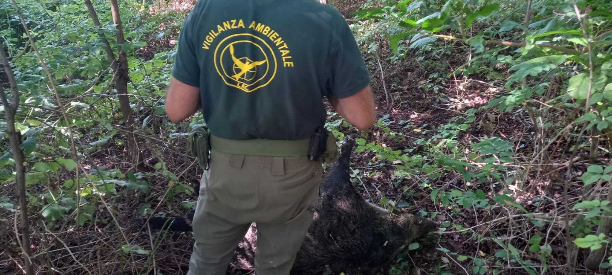 Guardie LAC fermano cacciatore bracconiere LAC Lega Abolizione Caccia