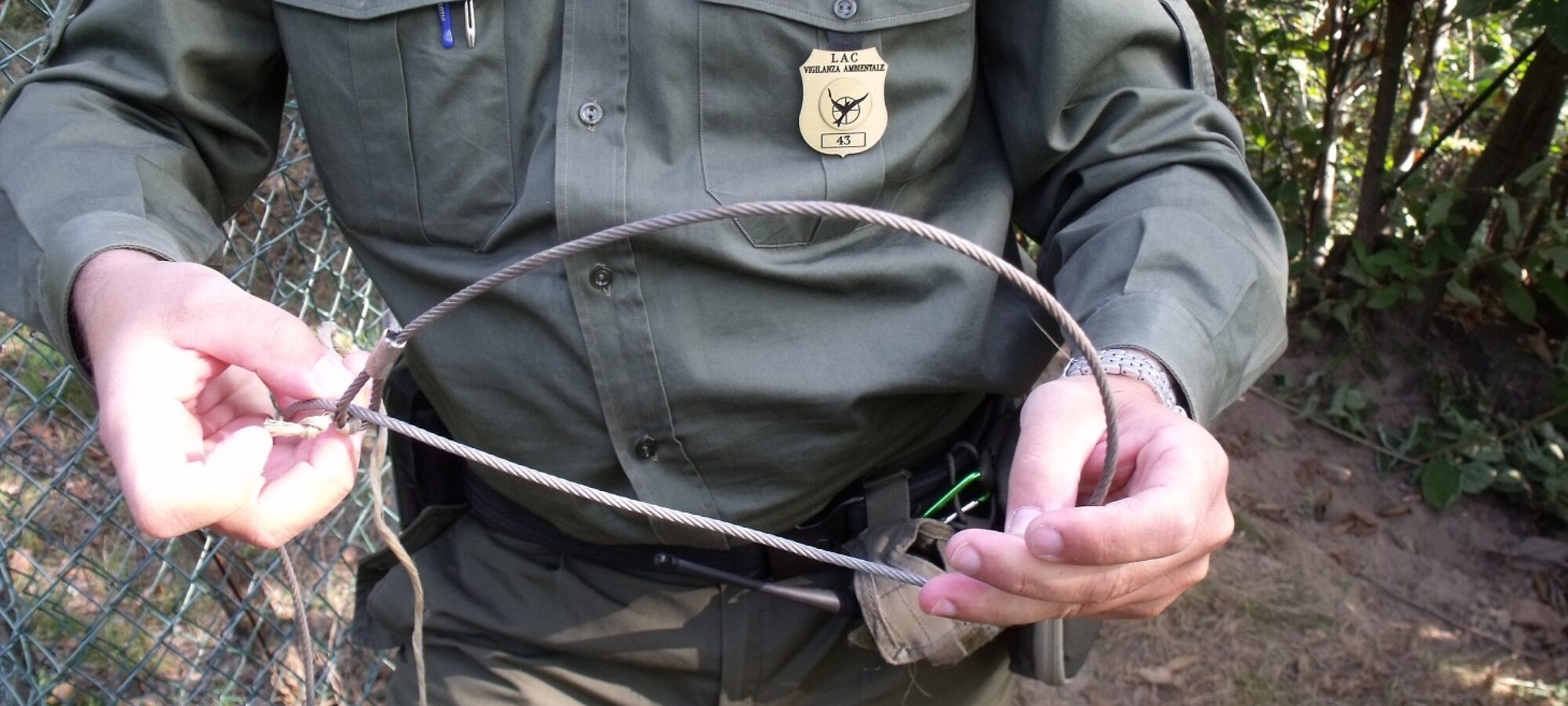 LAC Piemonte lancia la campagna Boschi sicuri LAC Lega Abolizione Caccia