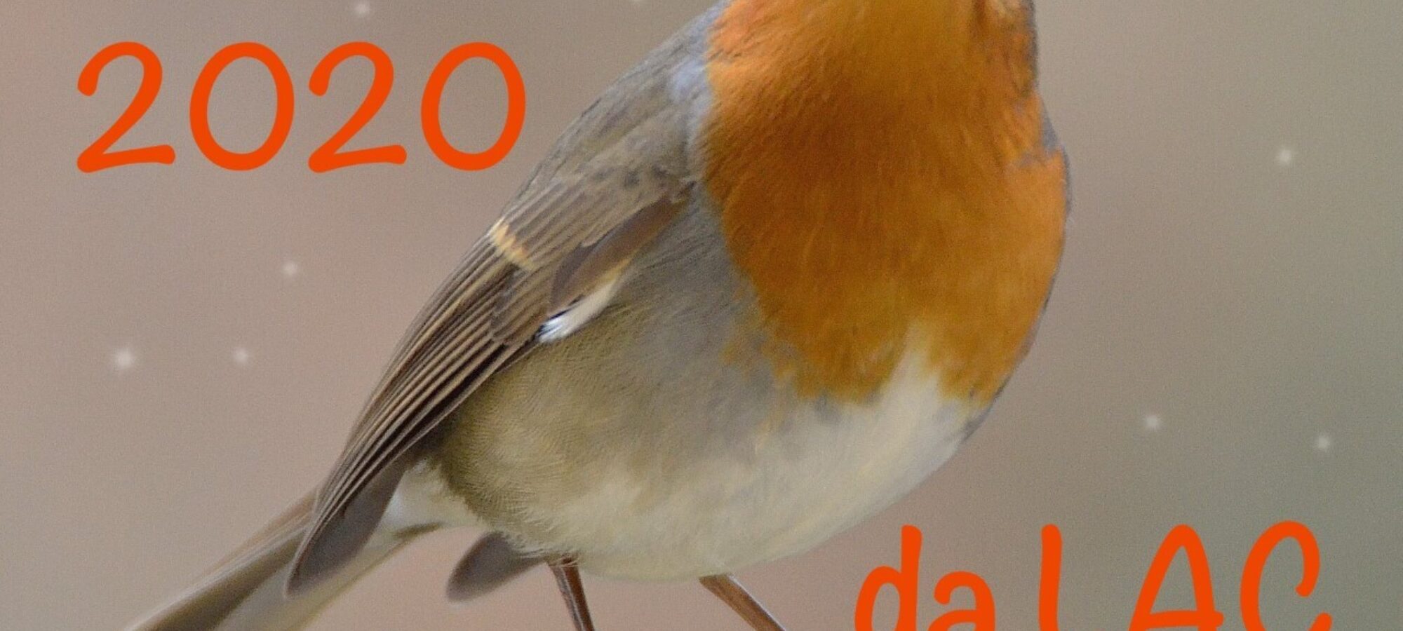 LAC conclusione 2019 LAC Lega Abolizione Caccia