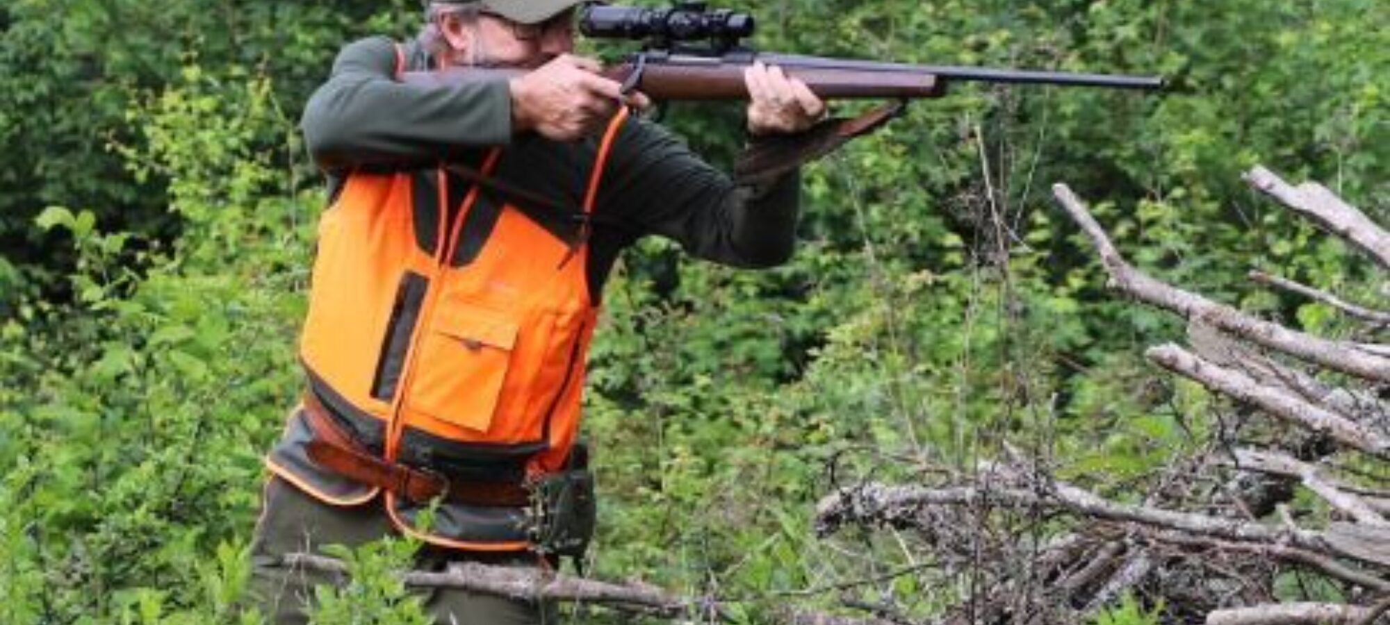 Marche la Regione delega tutto ai cacciatori LAC Lega Abolizione Caccia