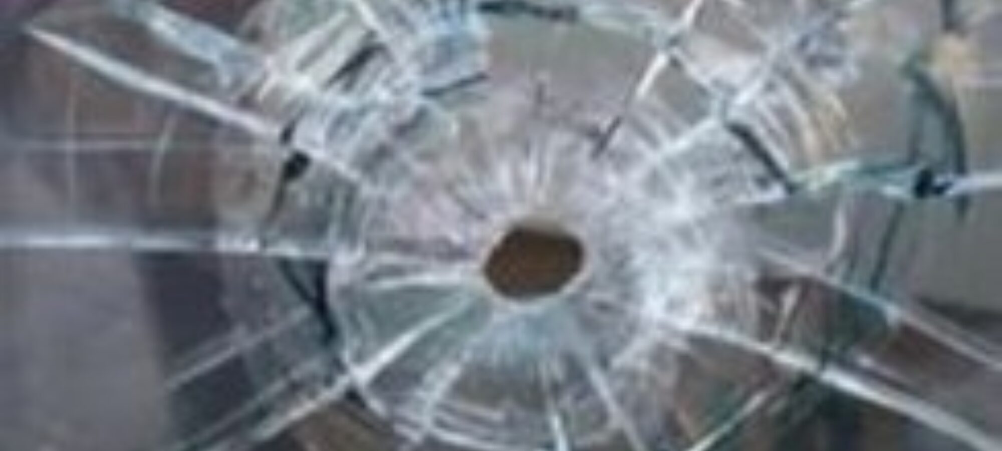 Nessuno è al sicuro durante la caccia LAC Lega Abolizione Caccia