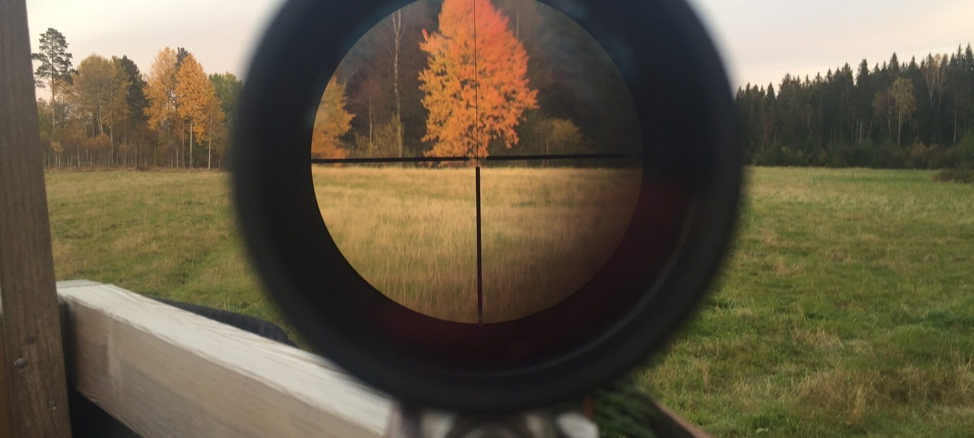 Nuovo tentativo di deregulation venatoria LAC Lega Abolizione Caccia