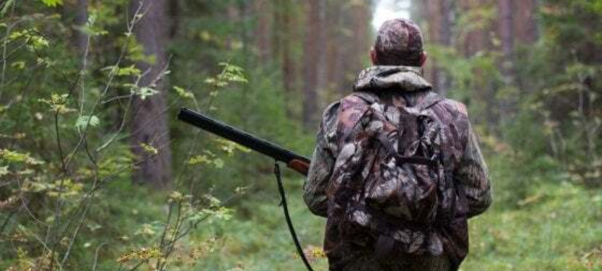 Piemonte parzialmente sospeso calendario venatorio LAC Lega Abolizione Caccia