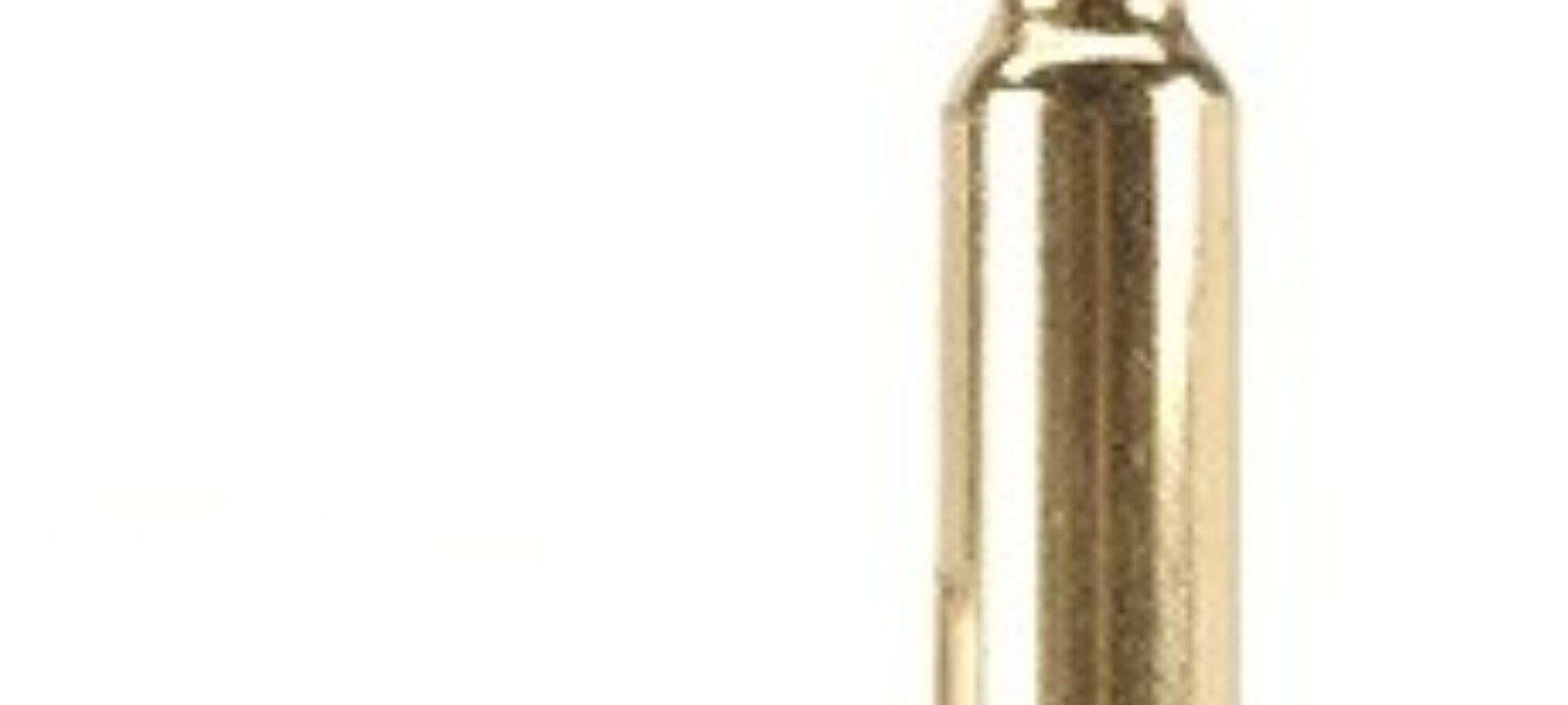 Proiettile come avviso LAC Lega Abolizione Caccia