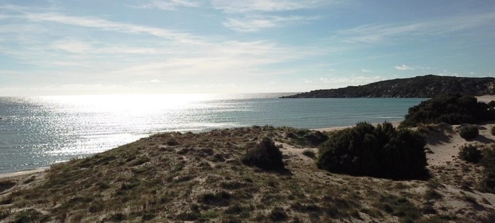 Salviamo insieme dune e spiaggia di Chia LAC Lega Abolizione Caccia