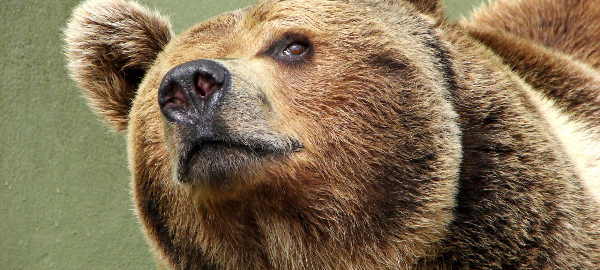 Solidarietà alla giornalista Rai Silvia Di Tocco LAC Lega Abolizione Caccia