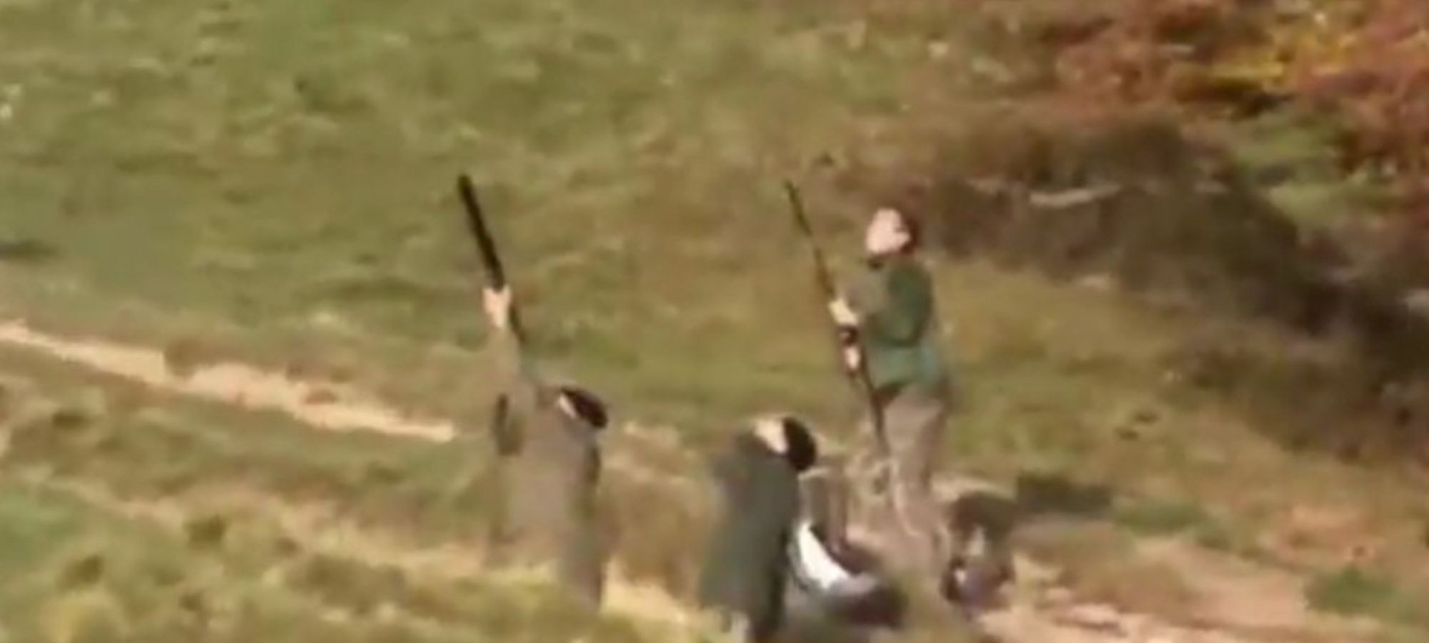 Consiglio di Stato rigetta richiesta di sospensiva di Regione Lombardia e associazioni venatorie