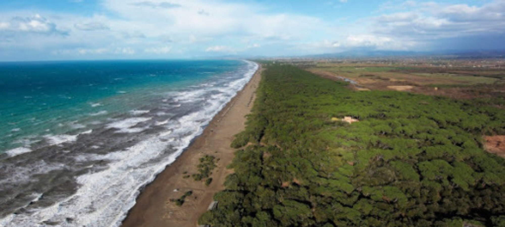 Toscana Stop allabbattimento della Pineta di Tombolo LAC Lega Abolizione Caccia