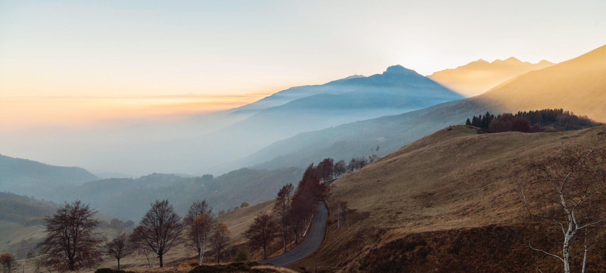 VITTORIA al TAR VENETO PER i VALICHI NON INDIVIDUATI LAC Lega Abolizione Caccia