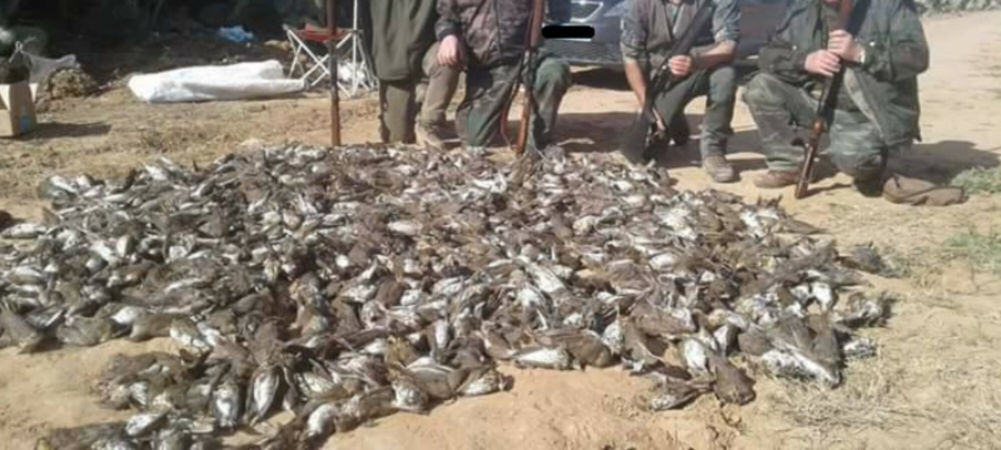 Cacciatori e massacri 1