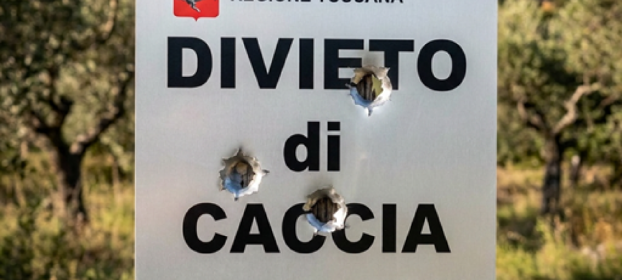 Divieto caccia toscana Copia