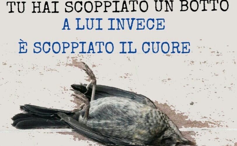 A Capodanno niente botti LAC Lega Abolizione Caccia
