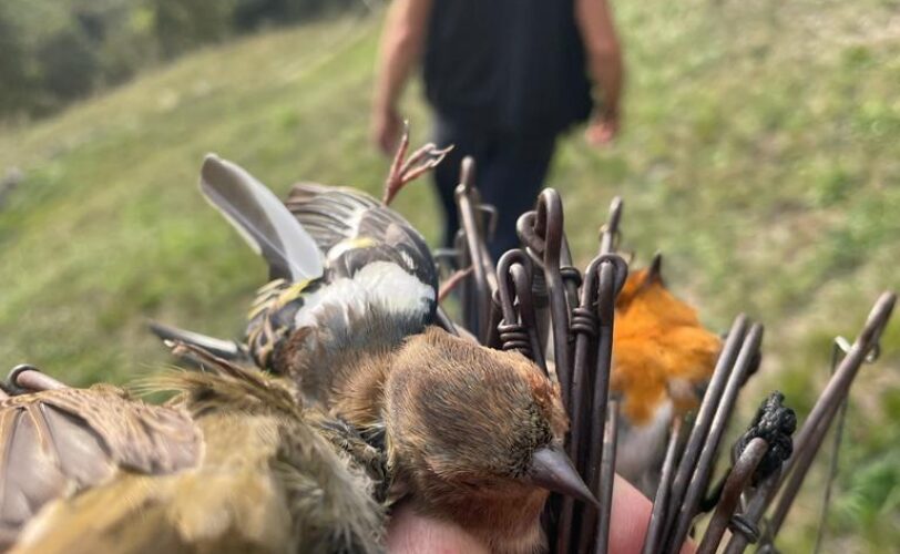 Antibracconaggio a Brescia 2023 LAC Lega Abolizione Caccia