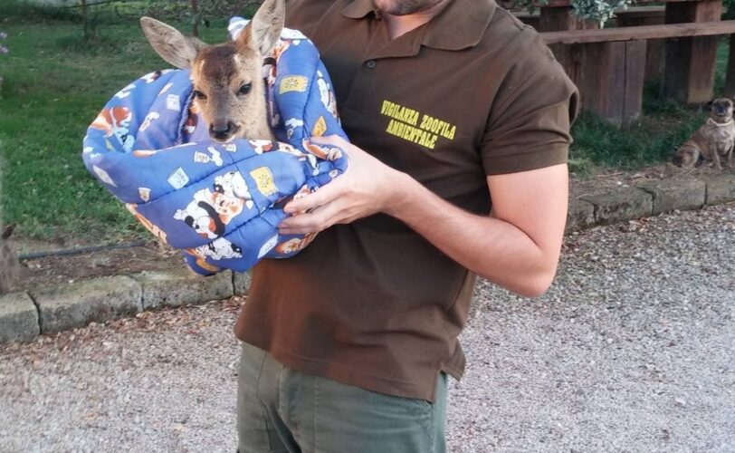 Attività LAC a Grosseto LAC Lega Abolizione Caccia