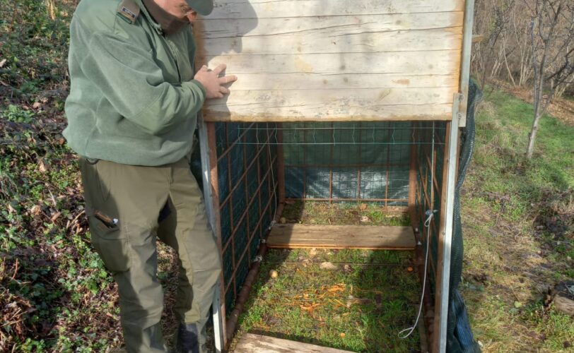 Bracconiere denunciato a Pinerolo LAC Lega Abolizione Caccia