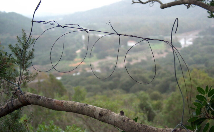 Caccia al bracconaggio nel Cagliaritano LAC Lega Abolizione Caccia