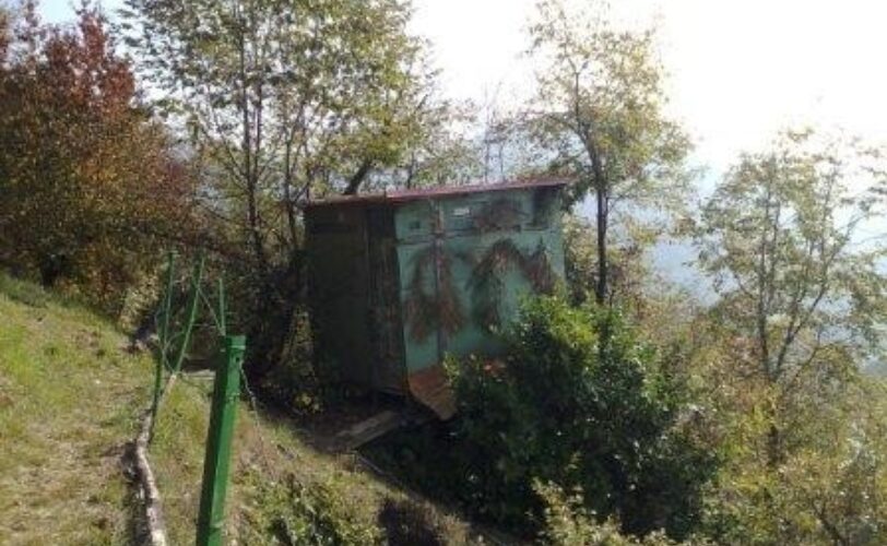 Caccia e pesca Nuova sconfitta della Regione Liguria in Corte Costituzionale LAC Lega Abolizione Caccia