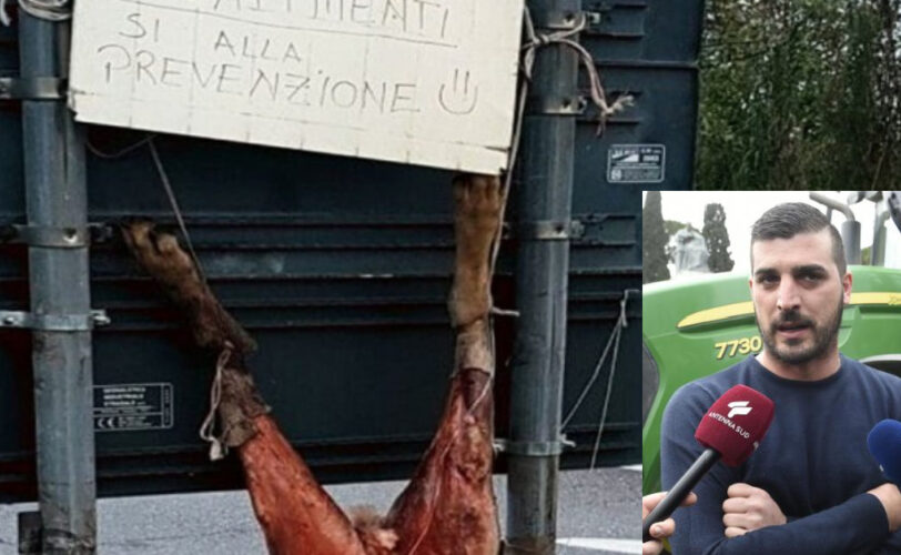 Condannato Salvatore Fais per uccisione Lupo LAC Lega Abolizione Caccia
