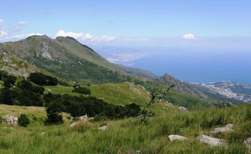 Dichiarati incostituzionali 5 articoli della legge regionale ligure taglia parchi n 32019 LAC Lega Abolizione Caccia