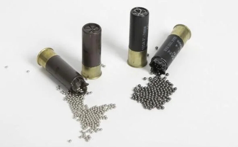 Divieto di Piombo nelle zone umide LAC Lega Abolizione Caccia