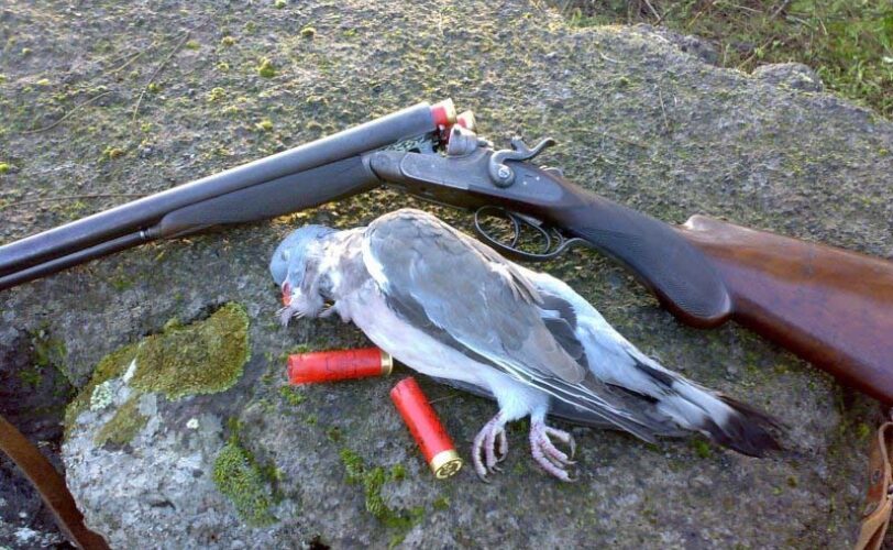 ENPA LAC LAV LIPU LAC Lega Abolizione Caccia