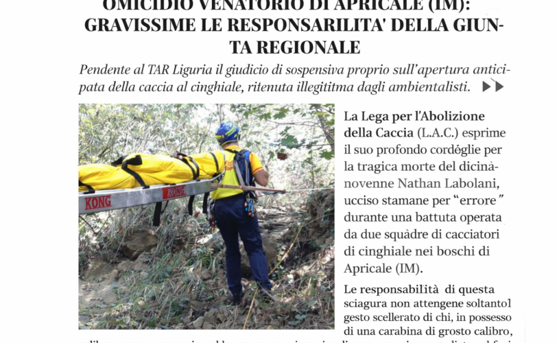 Firefly gpt image OMICIDIO VENATORIO DI APRICALE IM GRAVISSIME LE RESPONSABILITA DELLA GIUNTA REGIO 841742