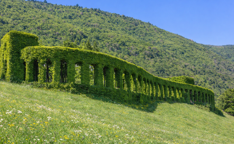 Firefly gpt image crea foto simile di roccolo bresciano 485119