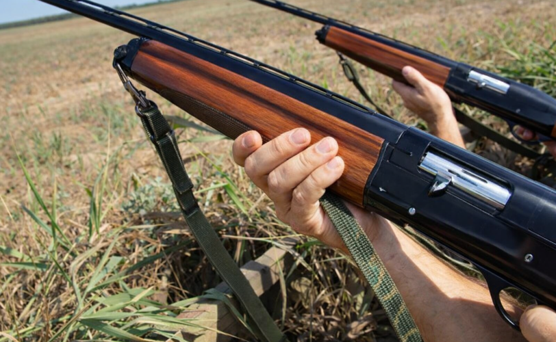 Firefly gpt image crea immagine simile 6528